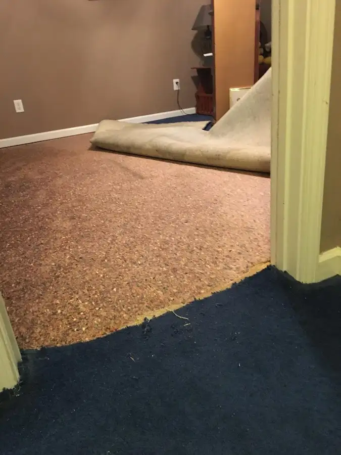 Carpet pad removal revealing water damage during Water Mitigation Services in Huber Heights